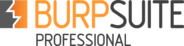 Burp Suite
